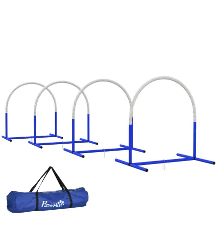 Conjunto de Entrenamiento