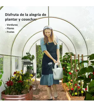 Invernadero de Túnel