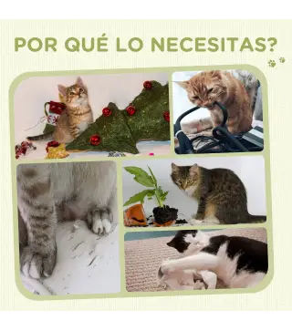 Rascador para Gatos