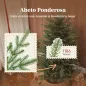 Árbol de Navidad Artificial 150 cm con 1186 Ramas y Soporte Metálico Plegable Fácil Montaje para Salón Interior Verde Árbol de Navidad Artificial 150 cm con 1186 Ramas y Soporte Metálico Plegable Fácil Montaje para Salón Interior Verde