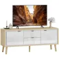 Mueble de TV Moderno de 2 Puertas 2 Cajones Orificios y Estantes Extraíbles 120x35x50 cm Blanco Brillo y Roble
