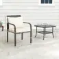 Conjunto de Muebles de Jardín de Ratán Sintético con 2 Sillas con Cojines Acolchados y Mesa con Vidrio Templado Marrón