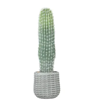 Cactus Artificial 66 cm, Planta Artificial Decorativa con Maceta para Decoración del Interior Verde