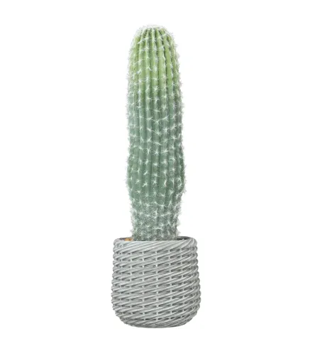 Cactus Artificial 66 cm, Planta Artificial Decorativa con Maceta para Decoración del Interior Verde