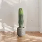 Cactus Artificial 66 cm, Planta Artificial Decorativa con Maceta para Decoración del Interior Verde
