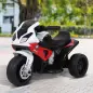 Moto Eléctrica para Niños de 18-36 Meses con Licencia BMW S1000RR con Velocidad 2,5 km/h Carga 20 kg 66x37x44 cm Rojo
