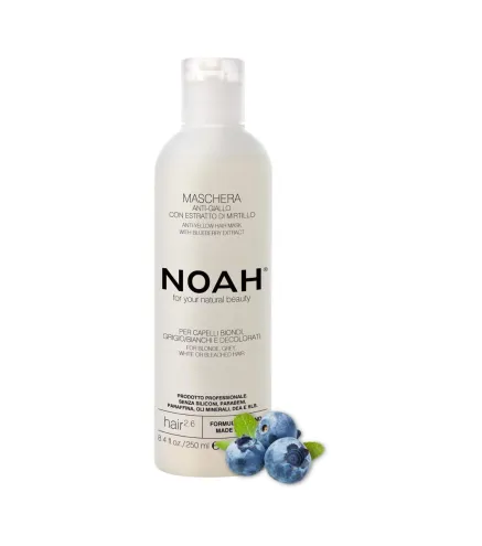 NOAH ARANDANOS ANTI-AMARILLO MASCARILLA CAPILAR 250ML
