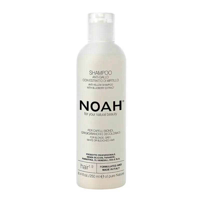 NOAH ANTI-AMARILLO ARANDANOS CHAMPU 250ML