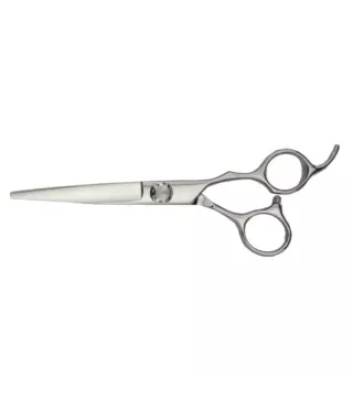 BLESSED SUPER ERGONOMICO TIJERAS 6 0 1UN