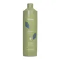ECHOSLINE ENERGY CHAMPU 1000ML