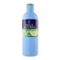 FELCE AZZURRA FRESCO BERGAMOTTO GEL 650ML FELCE AZZURRA FRESCO BERGAMOTTO GEL 650ML