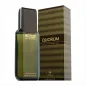 QUORUM EAU DE TOILETTE 100ML VAPORIZADOR QUORUM EAU DE TOILETTE 100ML VAPORIZADOR