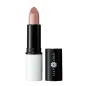 LILY LOLO BARRA DE LABIOS LIPSTICK 4GR LILY LOLO BARRA DE LABIOS LIPSTICK 4GR