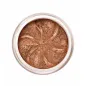 LILY LOLO BRONZE SPARKLE SOMBRA DE OJOS 2.5GR LILY LOLO BRONZE SPARKLE SOMBRA DE OJOS 2.5GR