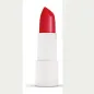 COULEUR CARAMEL ROUGE A LEVRES BARRA DE LABIOS 280 VRA ROUGE RECARGA 1UN