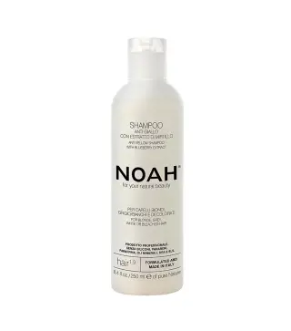 NOAH ANTI-AMARILLO ARANDANOS CHAMPU 250ML