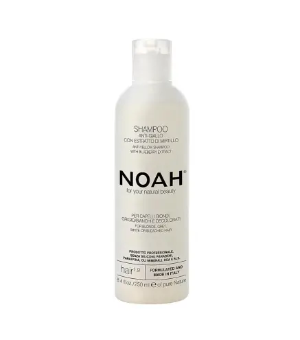 NOAH ANTI-AMARILLO ARANDANOS CHAMPU 250ML
