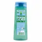 GARNIER FRUCTIS ANTI FORFORA CITRUS DETOX CHAMPU 250ML
