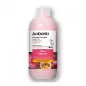 BABARIA COLOR CAPTURE CHAMPU PROTECTOR CABELLO TEÑIDO 500ML