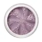LILY LOLO MAQUILLAJE SOMBRA DE OJOS PARMA VIOLET 1.5GR