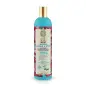 NATURA SIBERICA SCHIZANDRA GINSENG Y BIOTINA CHAMPU PROFESIONAL 400ML
