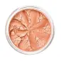 LILY LOLO COMPACTO COLORETE JUICY PEACH 3GR