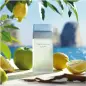 DOLCE GABBANA LIGHT BLUE EAU DE TOILETTE 100ML VAPORIZADOR DOLCE GABBANA LIGHT BLUE EAU DE TOILETTE 100ML VAPORIZADOR