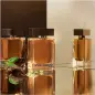 DOLCE GABBANA THE ONE D&G MEN EAU DE TOILETTE 50ML VAPORIZADOR