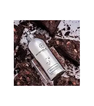 MONTALE CHOCOLATE GREEDU EAU DE PARFUM 100ML VAPORIZADOR