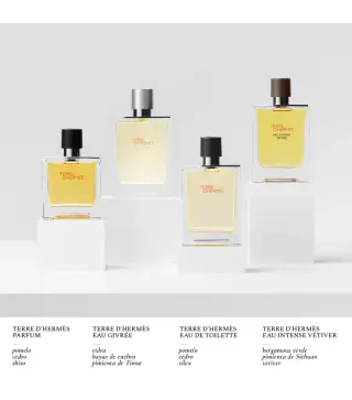 HERMES TERRE D'HERMES EAU GIVREE EAU DE PARFUM RECARGABLE 100ML