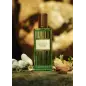 GUCCI MEMOIRE D'UNE ODEUR EAU DE PARFUM 60ML VAPORIZADOR GUCCI MEMOIRE D'UNE ODEUR EAU DE PARFUM 60ML VAPORIZADOR