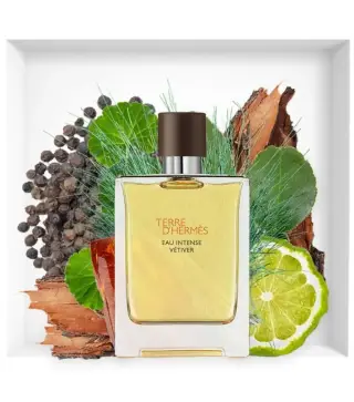 HERMES PARIS TERRE D'HERMES EAU DE TOILETTE 50ML VAPORIZADOR