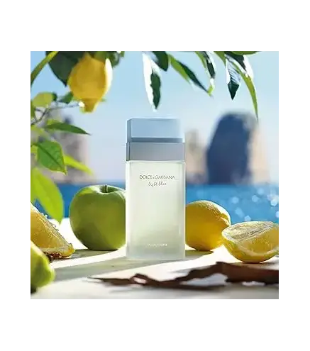 DOLCE GABBANA LIGHT BLUE EAU DE TOILETTE 25ML VAPORIZADOR