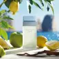 DOLCE GABBANA LIGHT BLUE EAU DE TOILETTE 25ML VAPORIZADOR