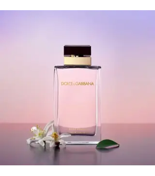 DOLCE GABBANA POUR FEMME EAU DE PARFUM 100ML VAPORIZADOR