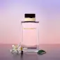 DOLCE GABBANA POUR FEMME EAU DE PARFUM 100ML VAPORIZADOR