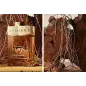 BULGARI MAN TERRAE ESSENCE EAU DE PARFUM 60ML VAPORIZADOR