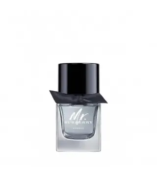 BURBERRY MR.BURBERRY EAU DE TOILETTE 50ML VAPORIZADOR