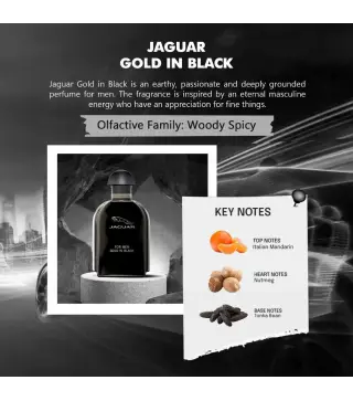 JAGUAR GOLD IN BLACK EAU DE TOILETTE 100ML VAPORIZADOR