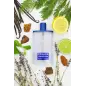 POLICE COSMOPOLITAN EAU DE TOILETTE 100ML VAPORIZADOR