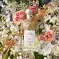 GUERLAIN AQUA ALLEGORIA EAU DE TOILETTE NEROLIA VETIVER 125ML VAPORIZADOR