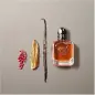 GIORGIO ARMANI STRONGER WITH YOU INTENSELY EAU DE PARFUM POUR HOMME 50ML VAPORIZADOR GIORGIO ARMANI STRONGER WITH YOU INTENSELY EAU DE PARFUM POUR HOMME 50ML VAPORIZADOR