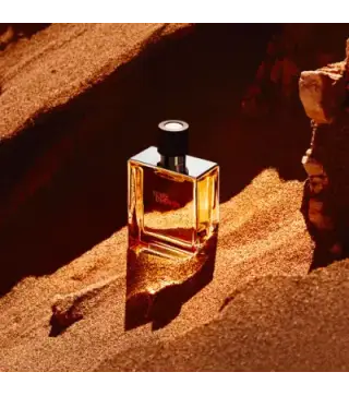 HERMES PARIS TERRE D'HERMES PARFUM PURE 75ML VAPORIZADOR