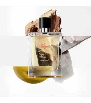 HERMES PARIS TERRE D'HERMES EAU DE TOILETTE 100ML VAPORIZADOR