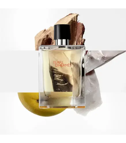 HERMES PARIS TERRE D'HERMES EAU DE TOILETTE 100ML VAPORIZADOR