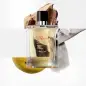 HERMES PARIS TERRE D'HERMES EAU DE TOILETTE 100ML VAPORIZADOR