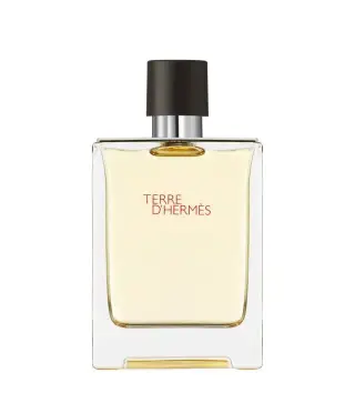 HERMES PARIS TERRE D'HERMES EAU DE TOILETTE 100ML VAPORIZADOR