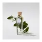 ADOLFO DOMINGUEZ AGUA FRESCA DE AZAHAR EAU DE TOILETTE 60ML VAPORIZADOR