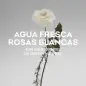 ADOLFO DOMINGUEZ AGUA FRESCA DE ROSAS BLANCAS EAU DE TOILETTE 60ML VAPORIZADOR