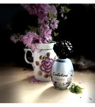 GRES CABOTINE ROSALIE EAU DE TOILETTE 100ML VAPORIZADOR